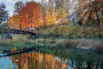 autumn trees reflected in water