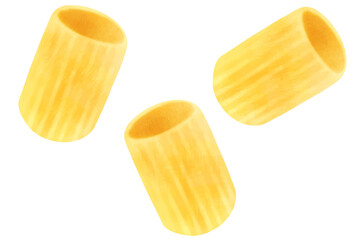 パスタ　リガトーニ