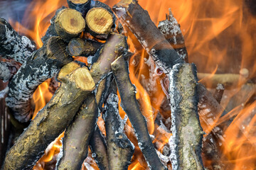 Bonfire made of branches of fruit trees. Flame flutters in wind. Process of preparing coals for barbecue. Close-up. Selective focus.