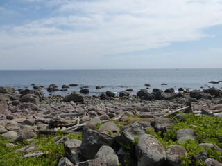 Fototapeta na wymiar 初島島内周遊道から見る夏の太平洋（静岡県熱海市
