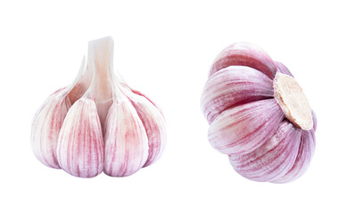 Set of garlic raw vegetable isolated on white background.
