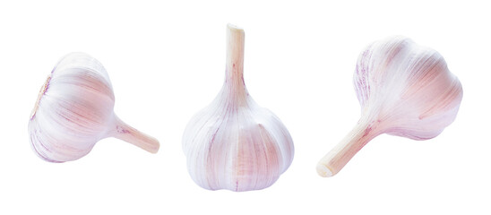 Set of garlic raw vegetable isolated on white background.