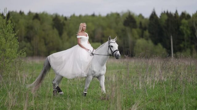 romantic bride is walking on horseback at wedding day, romantic view of woman and white horse