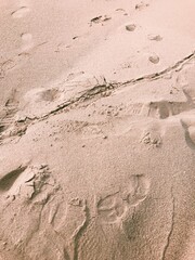 sandy beach background, beautiful sandy landscape