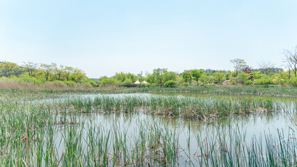 서천 국립생태원