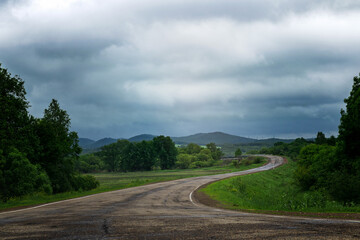 asphalt road running between green trees on a cloudy summer day.