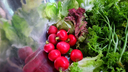Red radishes stand out among the green vegetables in a wash bowl.