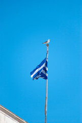 Athens, Greece - June 15, 2021: Seagulls on the National Archaeological Museum during the Covid...