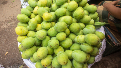 Street vendor selling green ripe mangoes on a big basket at the street of Mirpur, Dhaka, Bangladesh