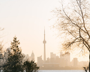 Fototapeta premium toronto skyline sunrise light and airy