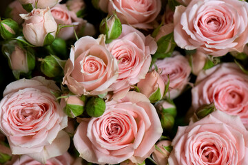 Obraz na płótnie Canvas Bunch of fresh pink roses floral background