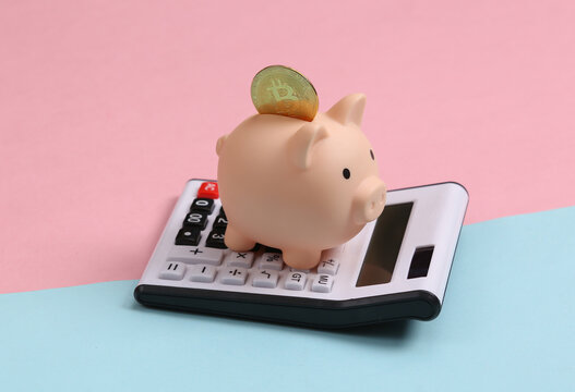 Piggy bank with bitcoin and calculator on blue pink pastel background