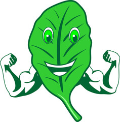 Vector Cartoon Spinach