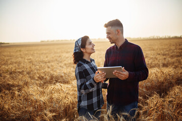 Naklejka na ściany i meble A man and a woman farmers check the wheat harvest. Two agronomists stand in the middle of a ripe wheat field at sunset with a tablet. Smart farming concept, internet.