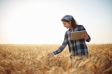 A woman farmer examines the field of cereals with a tablet in hand. Smart farming and digital agriculture.