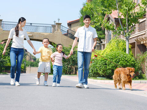 Happy family of four walking dogs outdoors