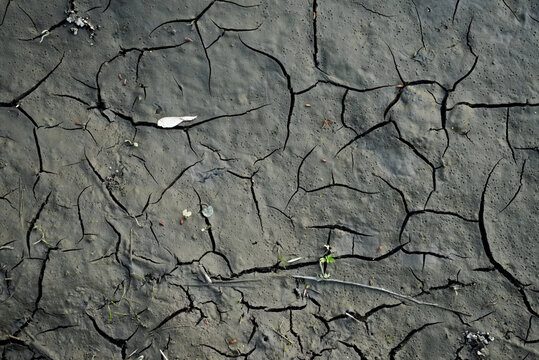 cracked earth after the water in the river recedes