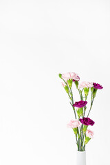 Beautiful flowers at white background. Modern interior details.