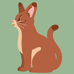 Simple and adorable illustration of Abyssinian cat sitting in side view flat colored