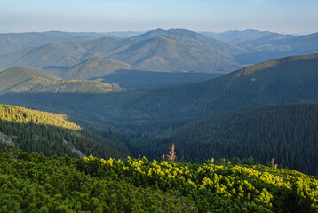 Summer Carpathian mountains evening view. Stony Gorgany massif, Ukraine.
