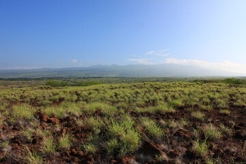 Fototapeta na wymiar ハワイ島（ビッグアイランド）。緑に覆われた溶岩の大地。青い空と白い空。まぶしい太陽の光が降り注ぐ。
