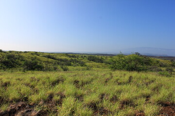 ハワイ島（ビッグアイランド）。緑に覆われた溶岩の大地。青い空と白い空。まぶしい太陽の光が降り注ぐ。