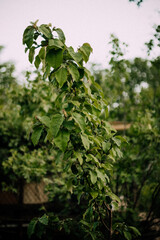 sightseeing aesthetics travel