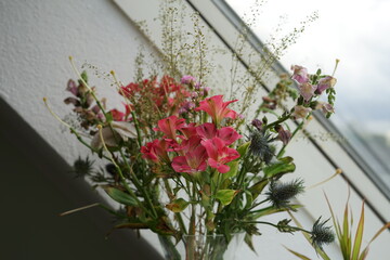 Almost faded bouquet with fanweed lily of the Incas a leftover stigma and style of a Brindisi llily and some snapdragons