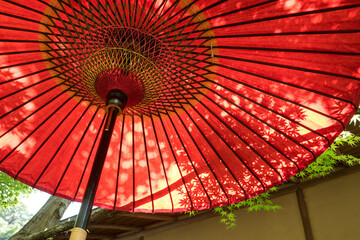 Traditional red umbrella and shadow of Japanese maple...