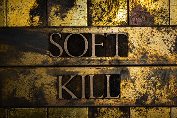 Soft Kill text on vintage textured grunge copper and gold background
