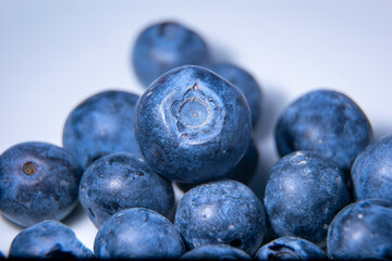 Borówka merykańska w powiększeniu makro © Paweł Kacperek