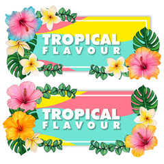 Watercolor hibiscus flowers and tropical leaves and frangipani