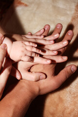 hands of dad, mom and their children