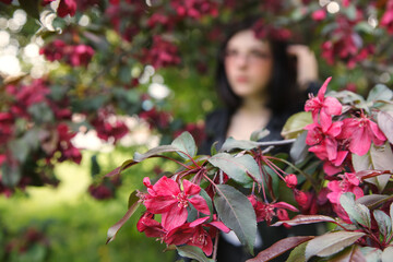 portrait of a young girl standing near cherry blossoms in spring