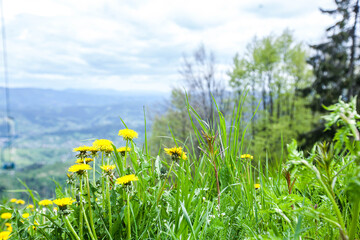 Mountains landscape in ukrainian Carpathians