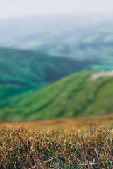 Mountains landscape in ukrainian Carpathians