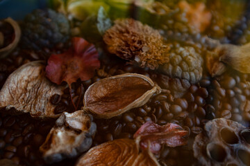 Dried fruits, coffee beans textured patterned