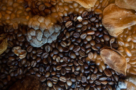 Dried fruits, coffee beans textured patterned