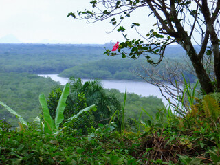 <Digimax i6 PMP, Samsung #11 PMP>