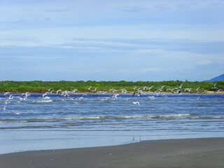 <Digimax i6 PMP, Samsung #11 PMP>