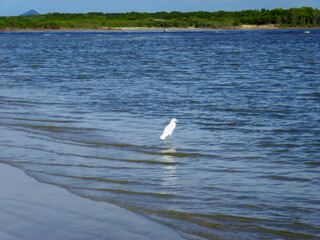 <Digimax i6 PMP, Samsung #11 PMP>