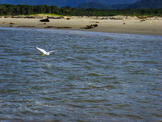 <Digimax i6 PMP, Samsung #11 PMP>