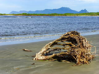 <Digimax i6 PMP, Samsung #11 PMP>