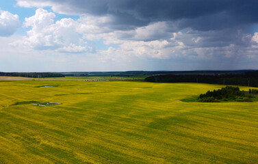 Aerial view of yellow flowers of agricultural rapeseed for background