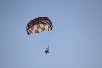paraglider in the sky