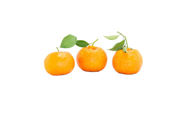 Orange on white background orange on a white background