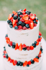 birthday cake fresh fruit strawberry raspberry blackberry