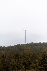 Fototapeta na wymiar wind turbine in a field