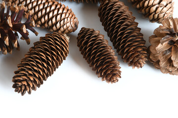 pinecones isolated on white background