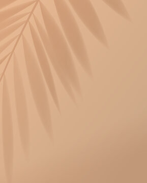 Tropical palm leaf shadow on light pastel brown background. vector design